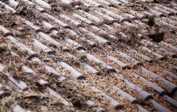 Ingestre roof cleaning companies